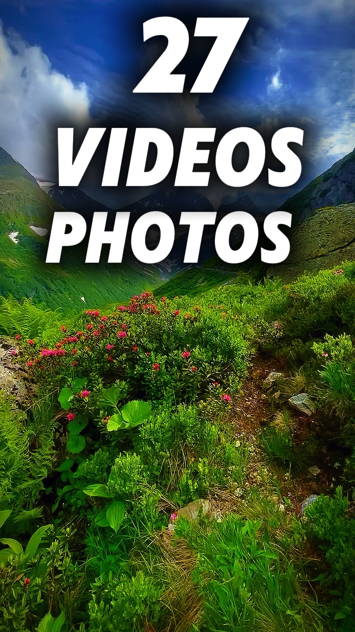 27 clip or photo 
