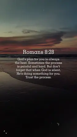 trust the process