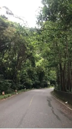 Little trip🤍