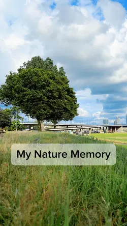 Calm Nature Story