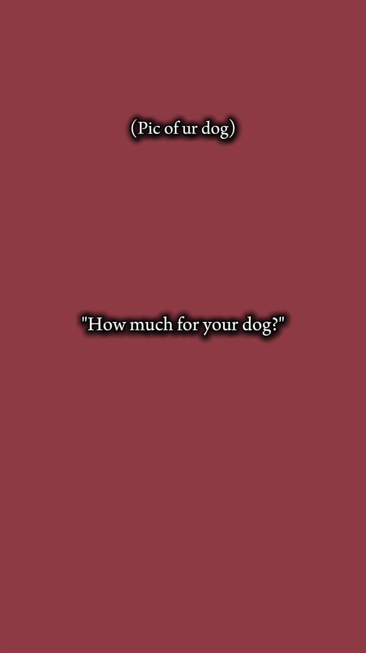 dog