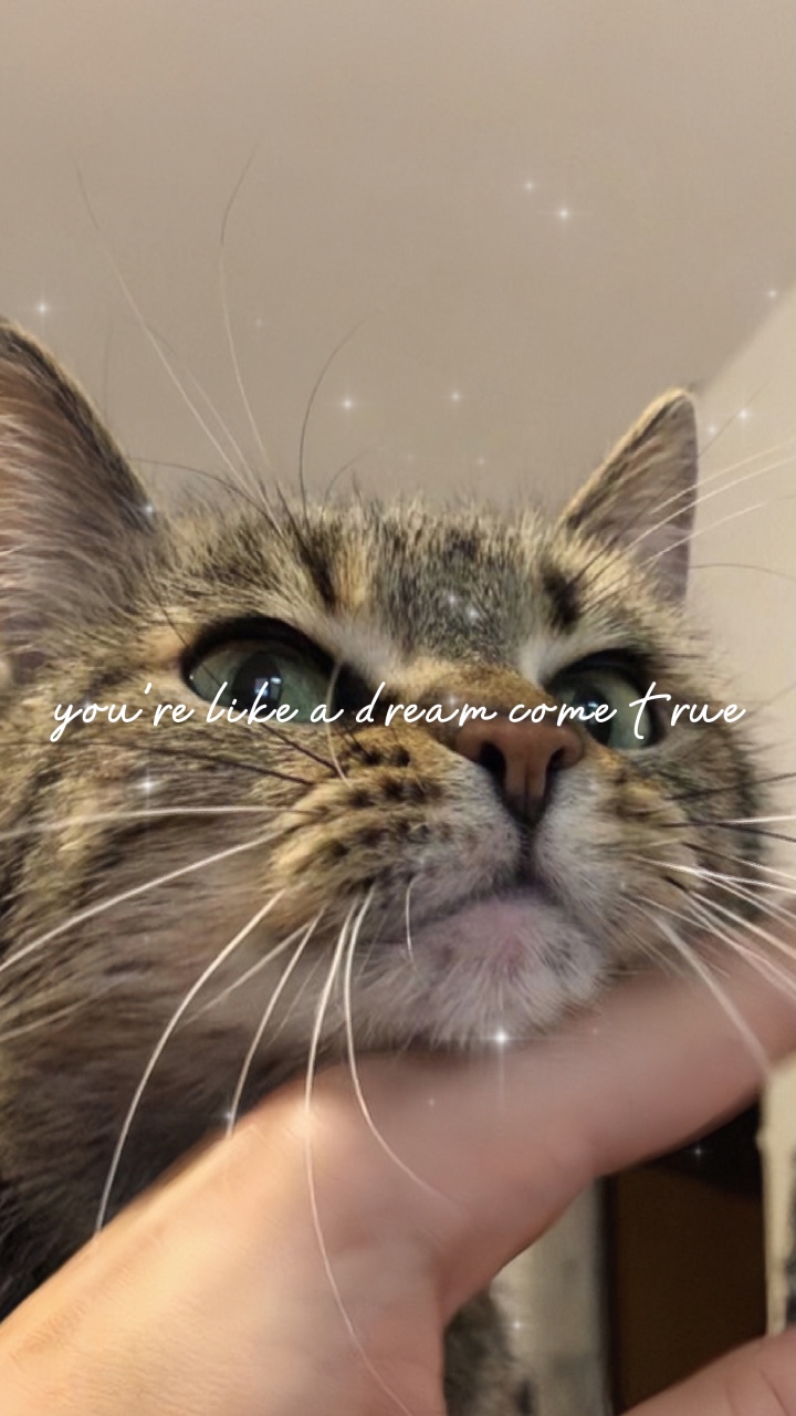 Pov: trabalhando em casa