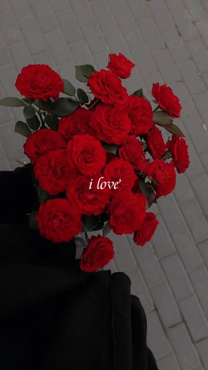 Amo las flores