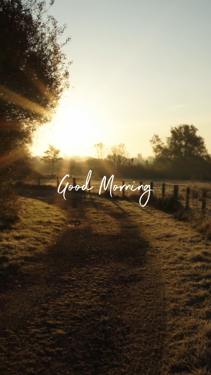 Good mornin