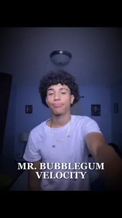 mr.bubblegum