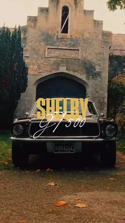 SHELBY GT 500