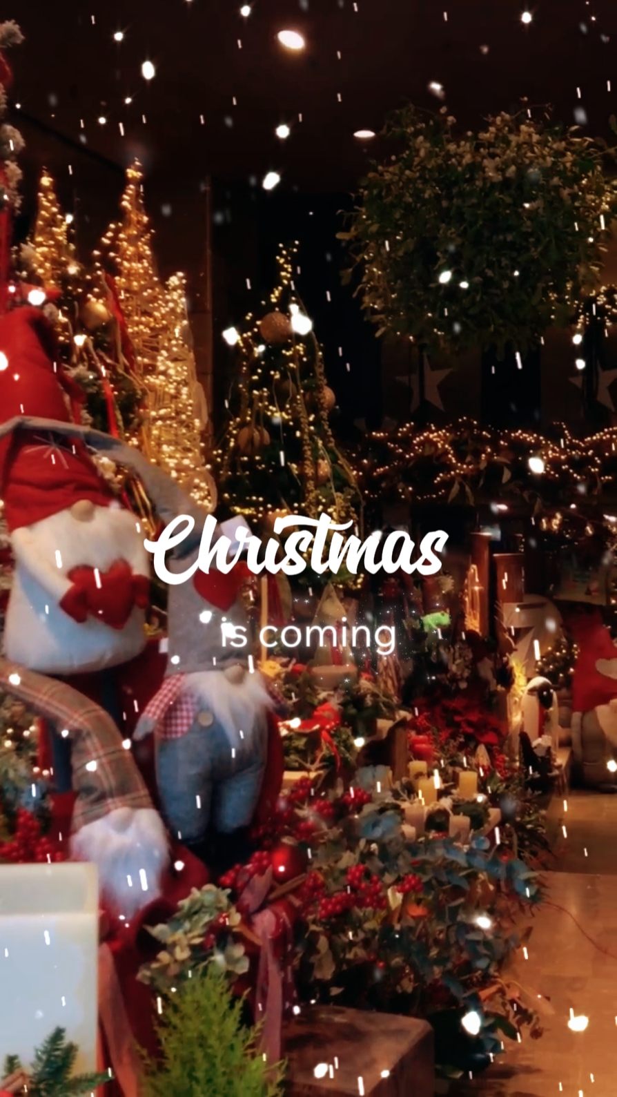Christmas is coming