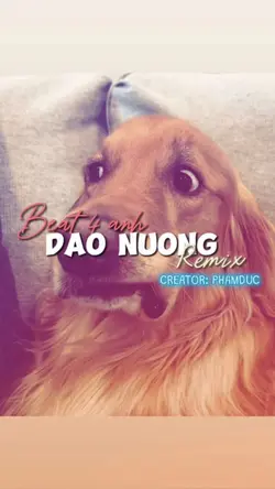 Đào Nương remix 
