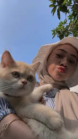 senja yang datang di