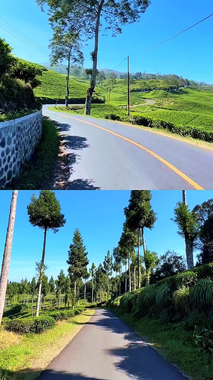 collage 2 vidéo