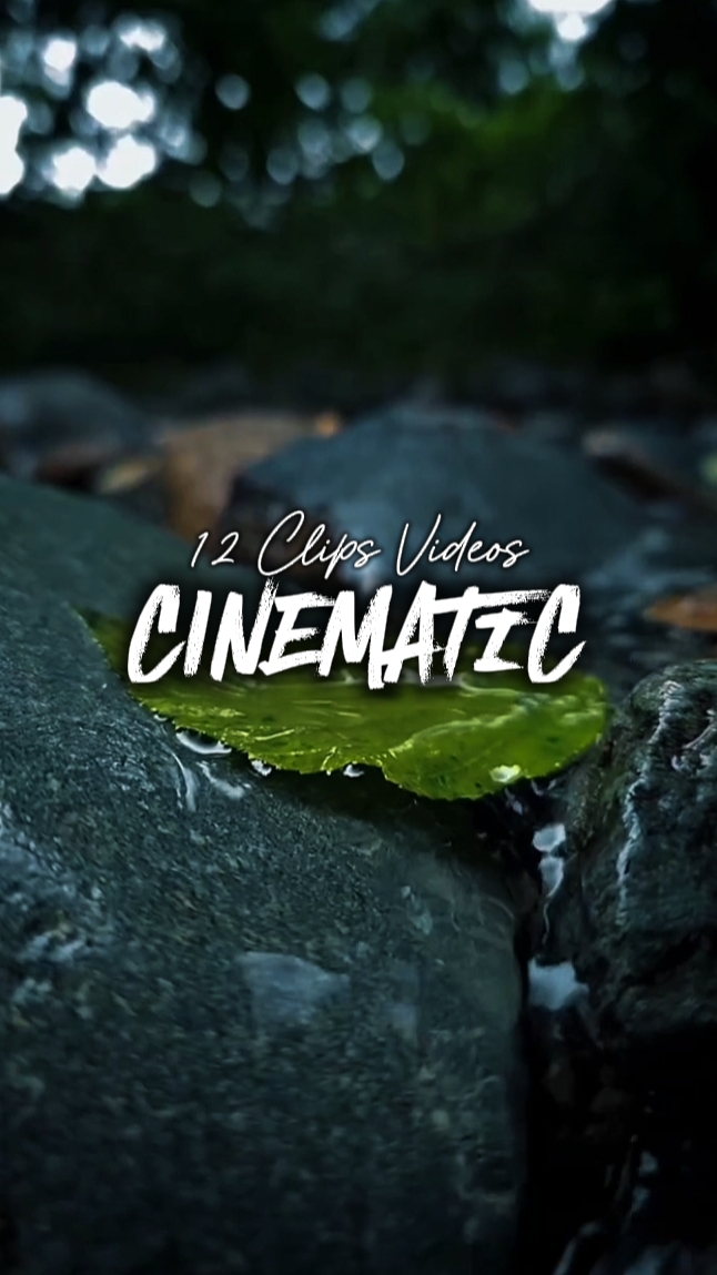 12 Videos Cinematic