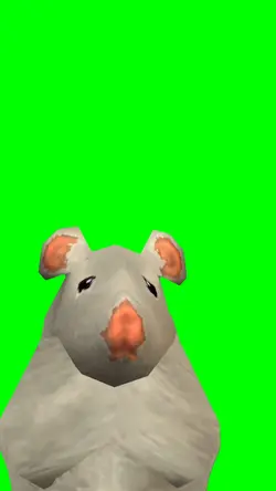 Dancing Rat