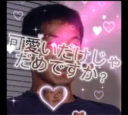 可愛いだけじゃだめですか?