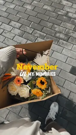 NOVEMBER MY
