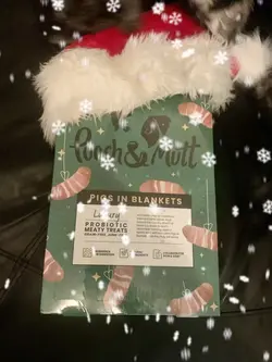 Dog advent calendar