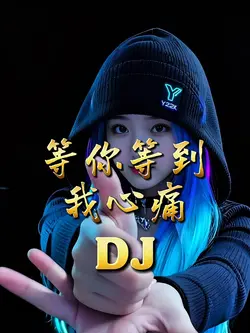 等你等到我心痛｜DJ卡点版 