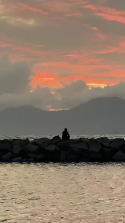 mentahan video