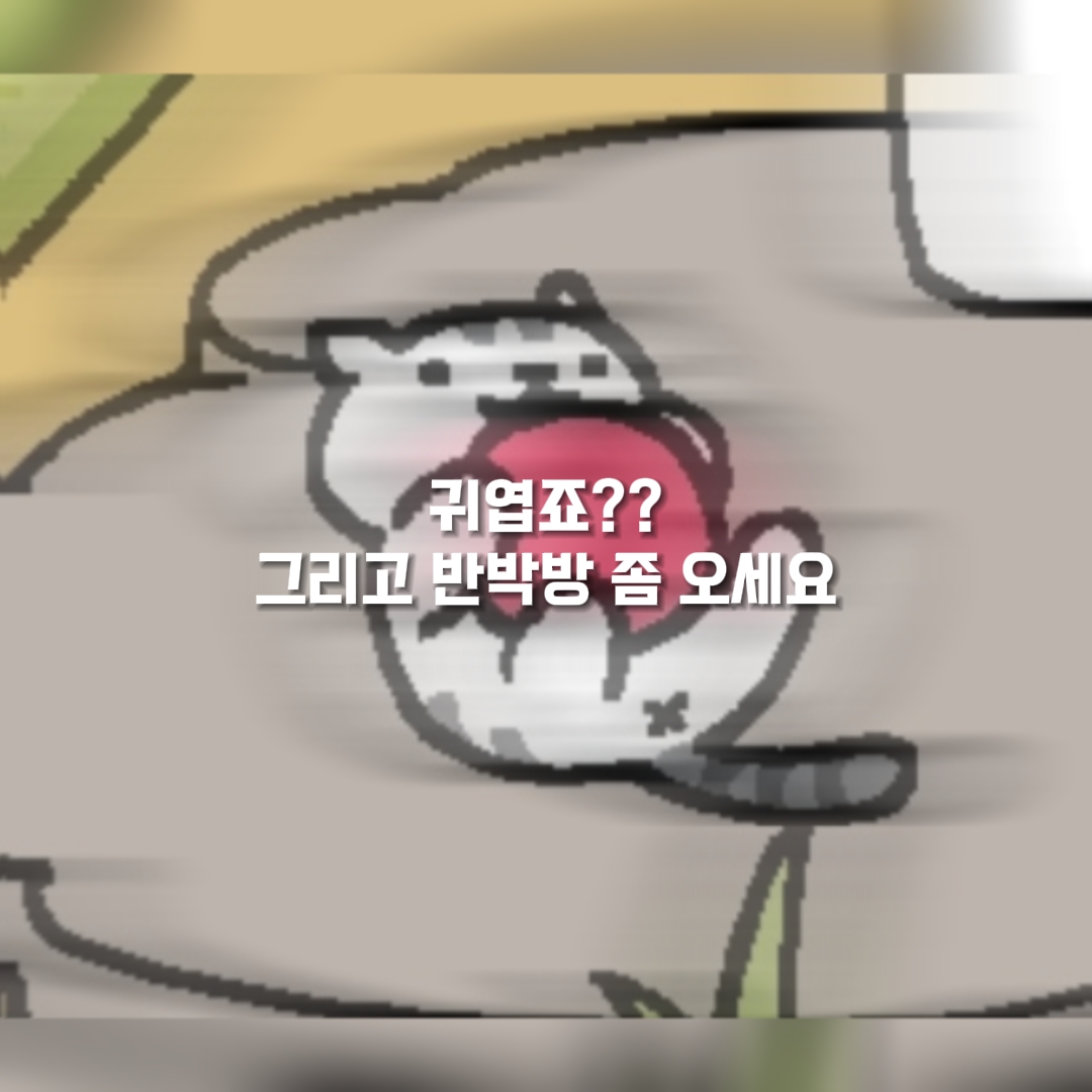 세상이 환하게 보여