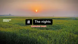 The nights