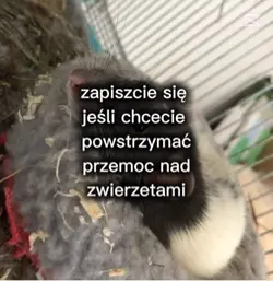 Dla twórców