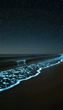 Live wallpaper