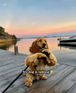 My dog talking 🙂🥲