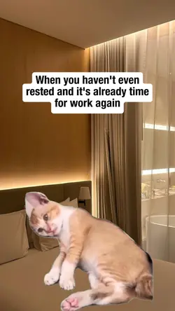 No Rest Just Restart