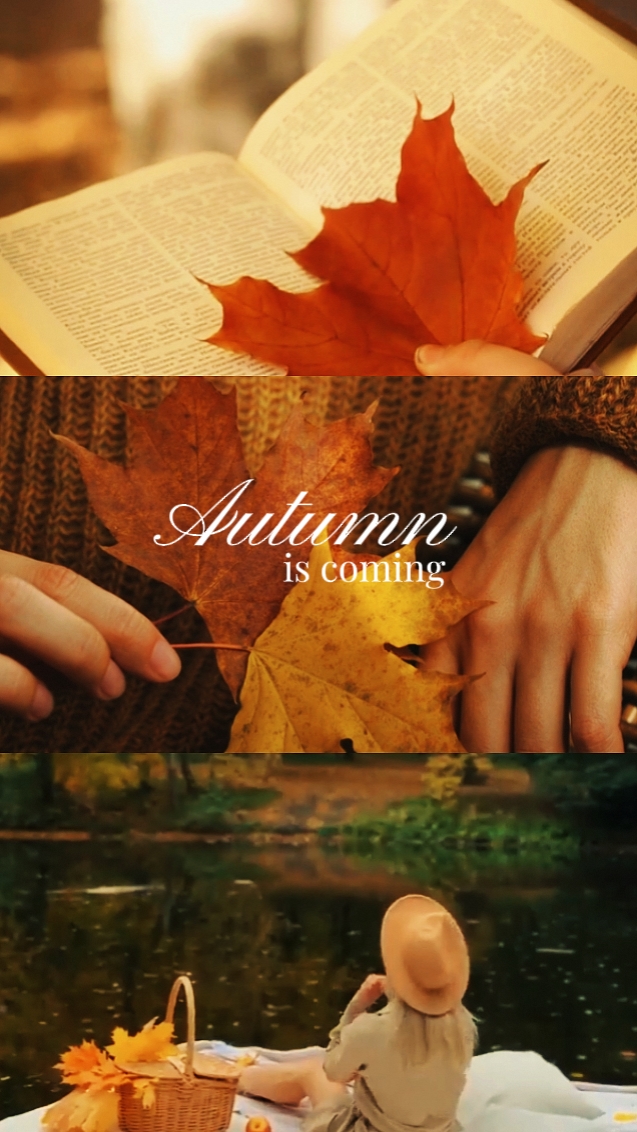 Autumn is coming
