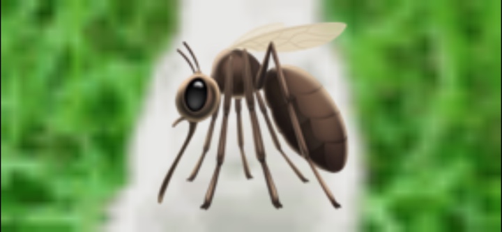 Nom nom 😒😔🥸😎🤓😝😋😚🦗🦟🪳🐜