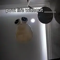 life without