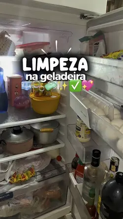 Geladeira limpa 