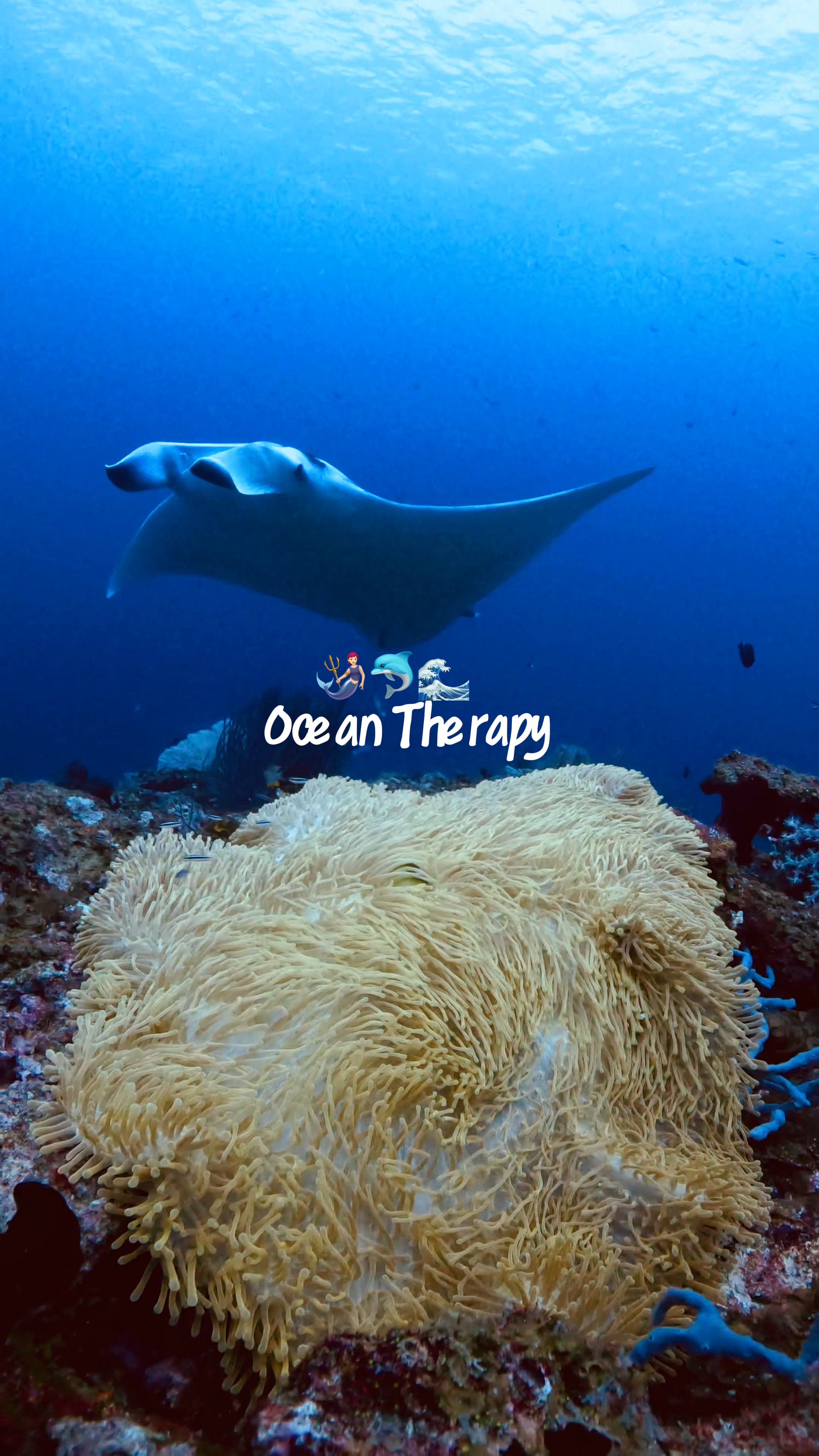 Thérapie océanique