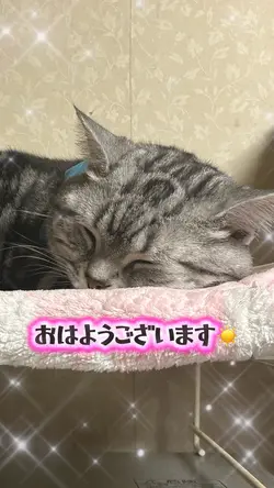 おはようございます☀️