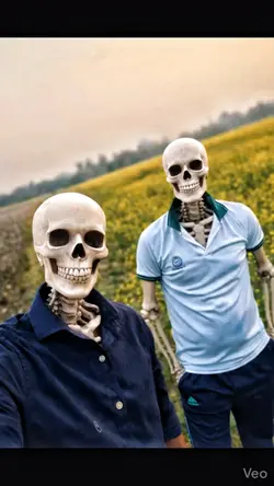 Skeloton funny