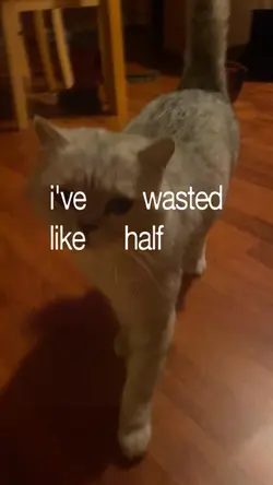 wasted summer