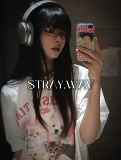 STRAY.WAV