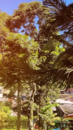 7 clips cinematic
