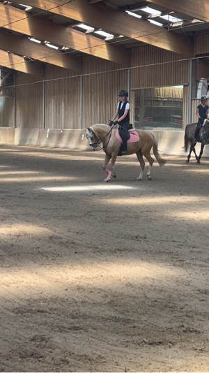 riding today!! 