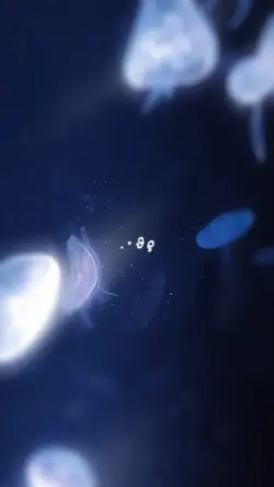 儚い系￤動画1本だけ！