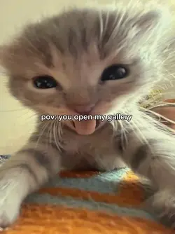 pov: you open my 
