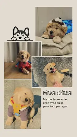 Mon chien 🐶