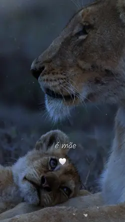 ser mãe 