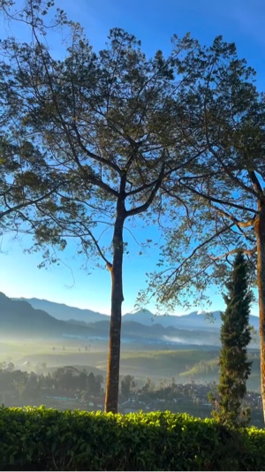 3 video travel