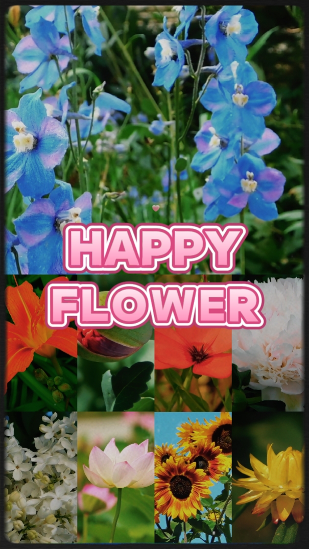 Flor feliz