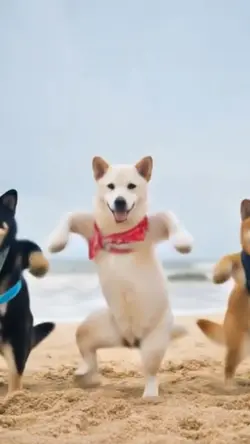 น้องหมาเต้นai