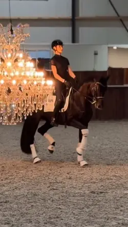 Horse slowmo