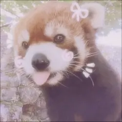PANDAAAA