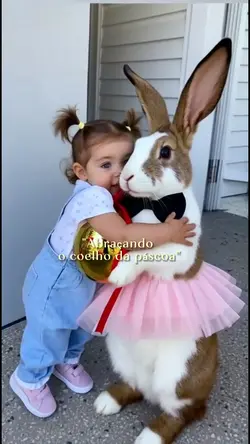 abraço no coelho