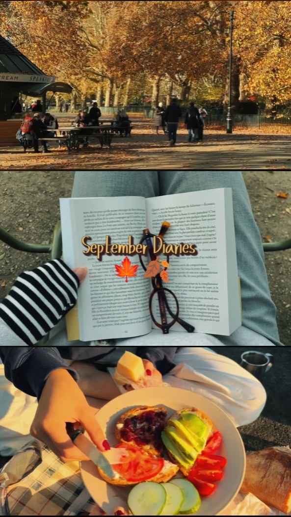 Diários de setembro 