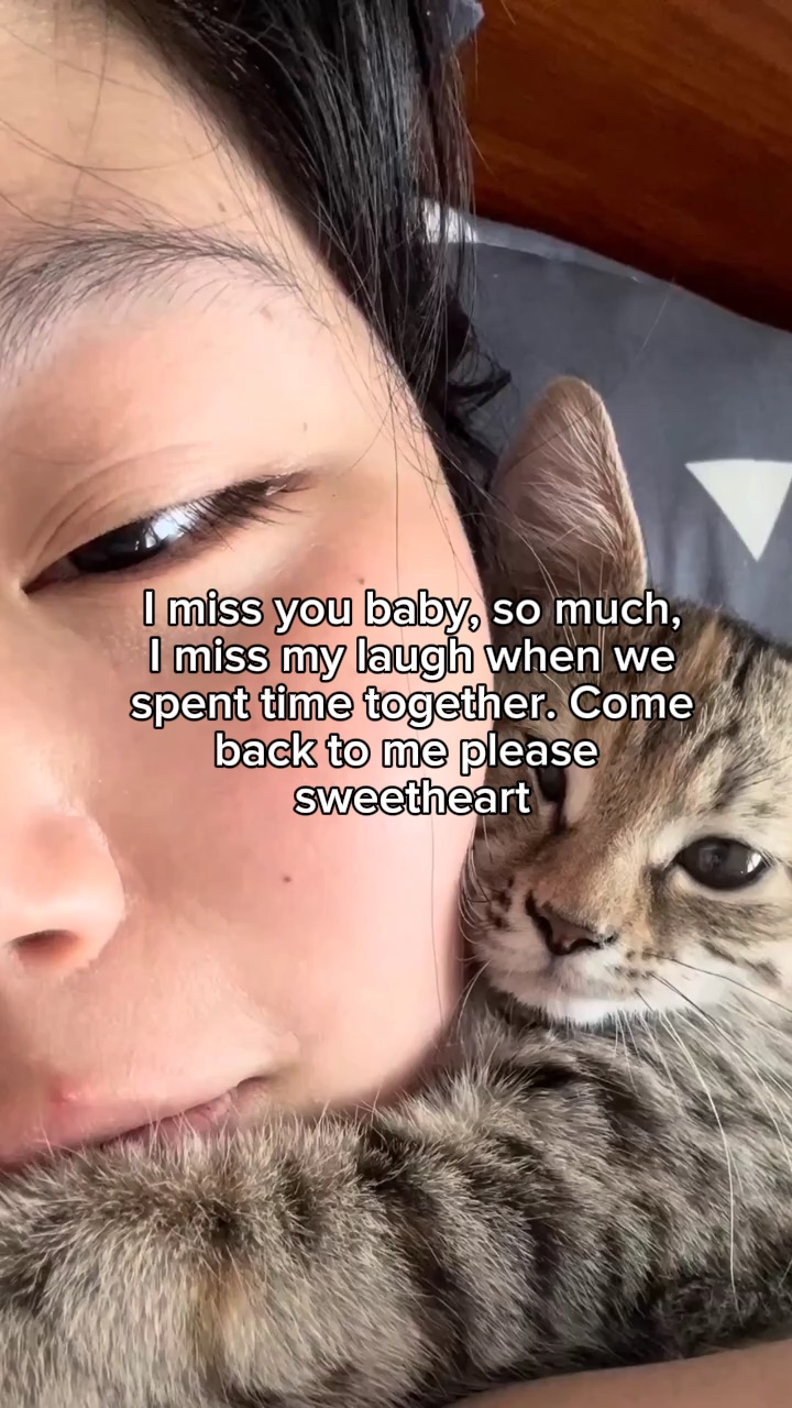Extraño a mi gato